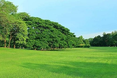 公園客流量怎麼(me)算的